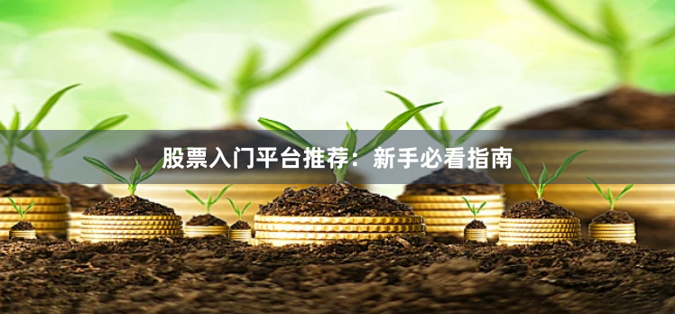 股票入门平台推荐：新手必看指南